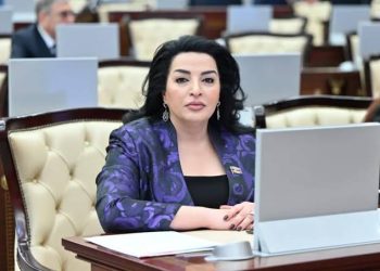 Fatma Yıldırım Bərdə rayonunun Türkmən kəndində sakinlərlə görüşüb – Yol layihəsi ilə bağlı açıqlama