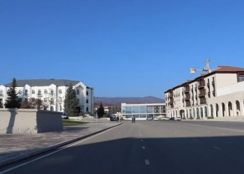 Xankəndidə toyuq hini ilə bağlı məsələyə – Rəsmi reaksiya