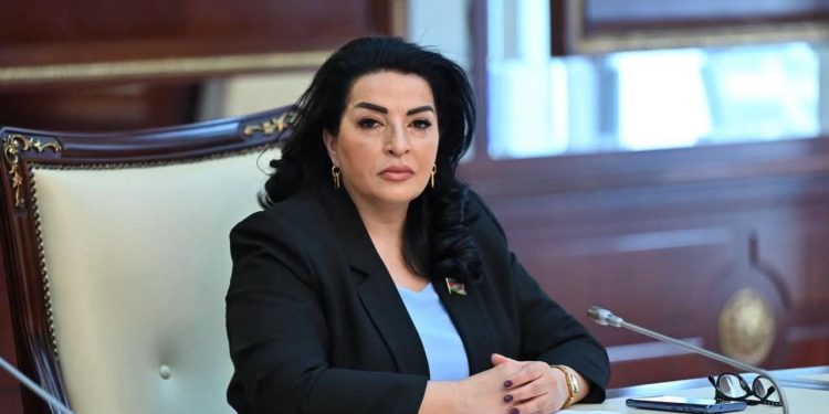 Fatma Yıldırım: “Türk Dövlətləri Təşkilatı qarşısında yeni təhlükəsizlik çağırışları və strateji hədəflər dayanır”