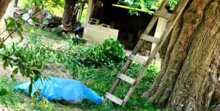 Qubada kişi qoz ağacından yıxılıb öldü