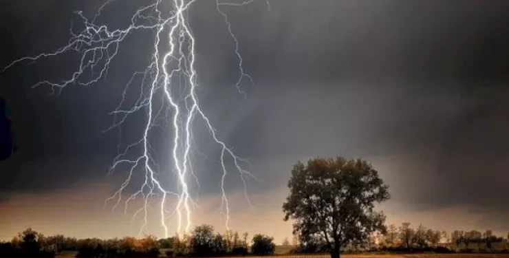 Qazaxda dəhşətli hadisə: Mal-qara otaran 35 yaşlı kişini ildırım vurdu
