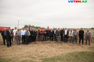 img_4152-300x200 Bərdədə pambıq yığımı davam etdirilir – rayon rəhbəri sahələrdə olub
