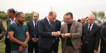 Bərdədə pambıq yığımı davam etdirilir – rayon rəhbəri sahələrdə olub