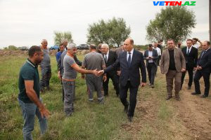 img_4154-300x200 Bərdədə pambıq yığımı davam etdirilir – rayon rəhbəri sahələrdə olub